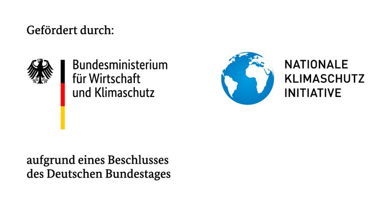 BMKI und NKI Logo